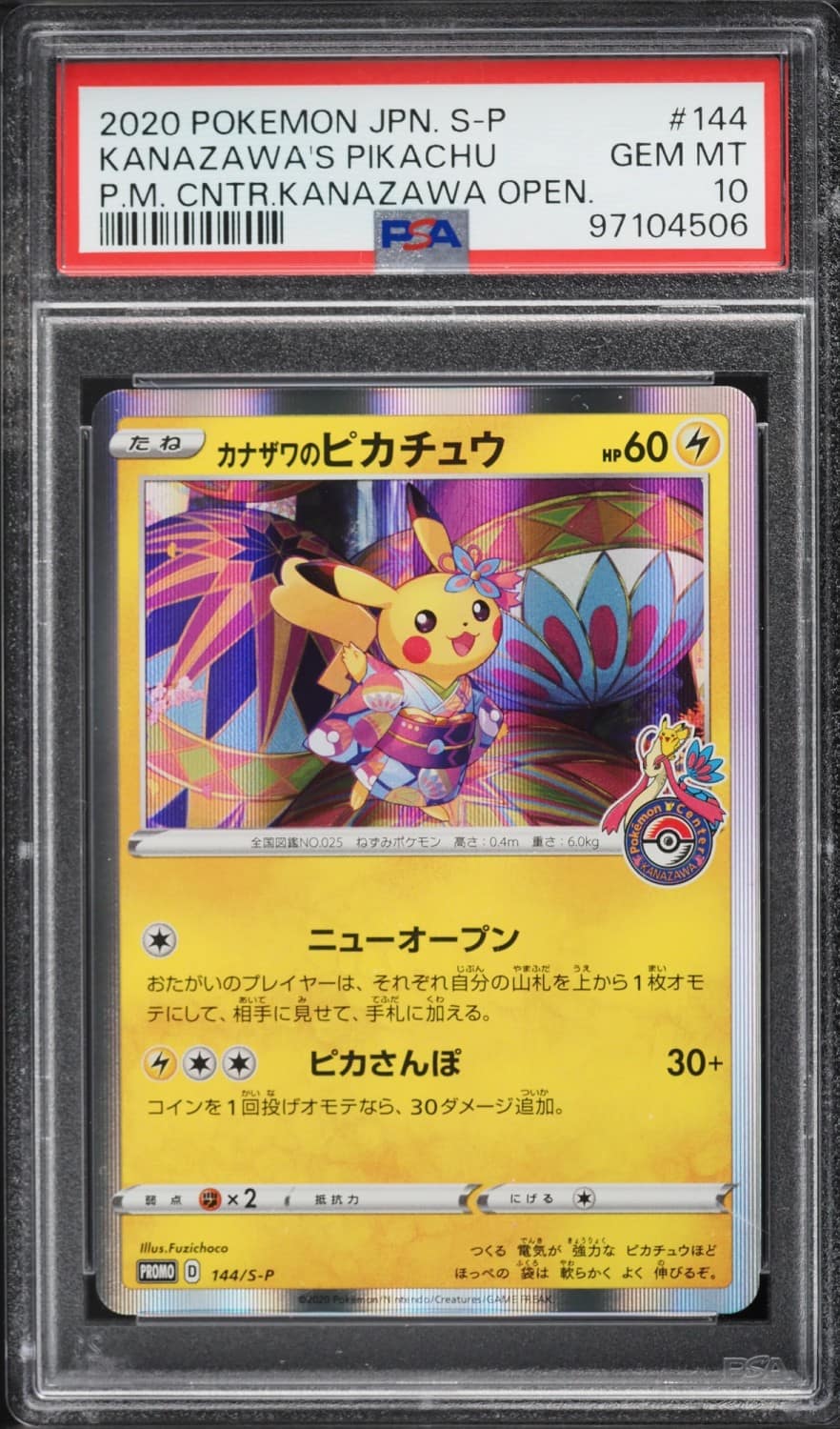 Kanazawa'S Pikachu