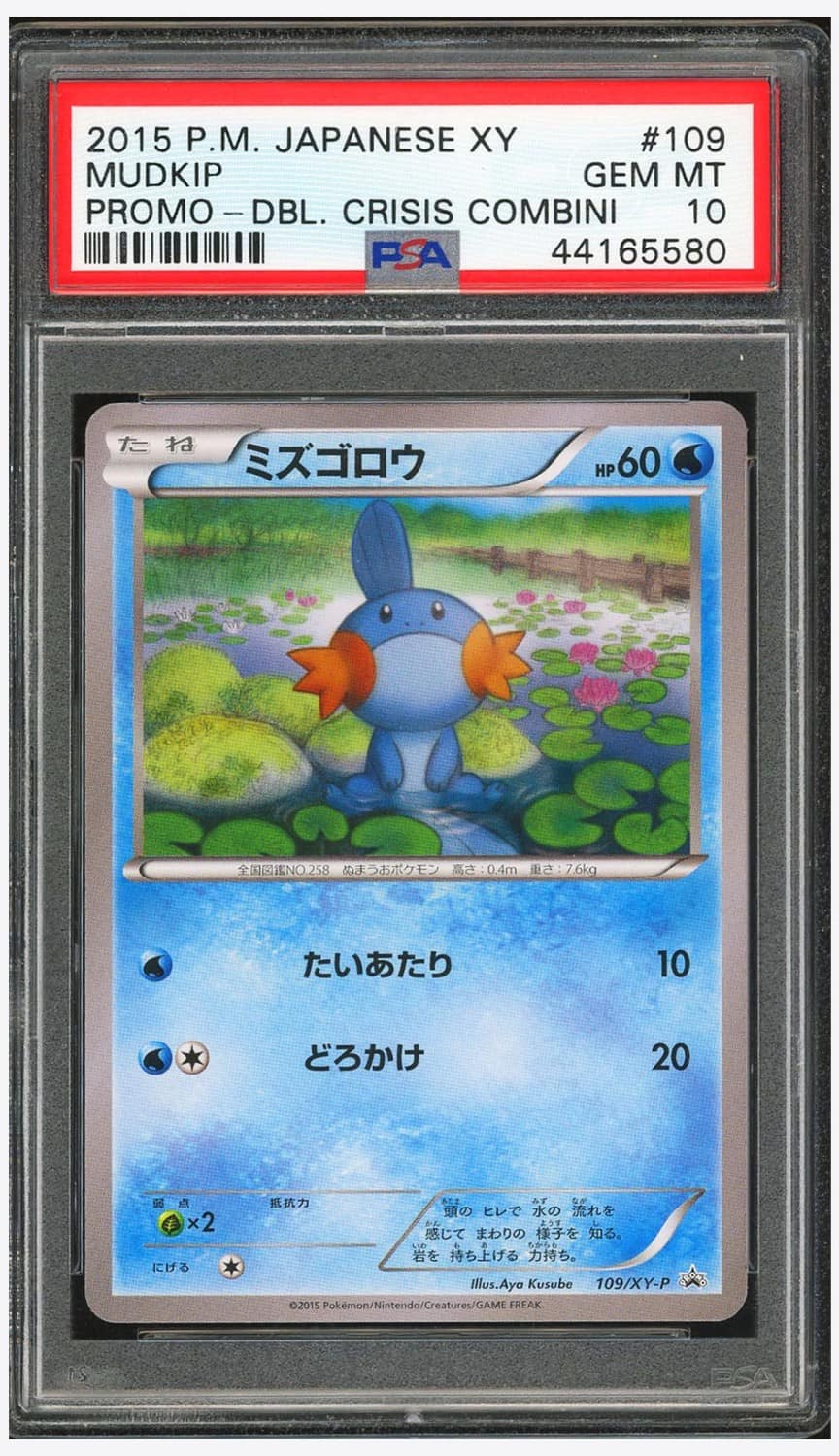 Mudkip