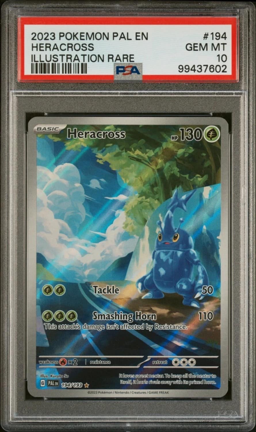 Heracross