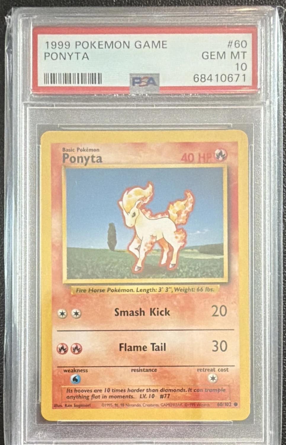 Ponyta