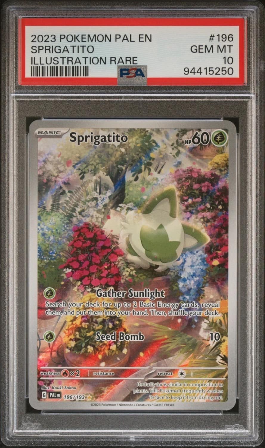 Sprigatito