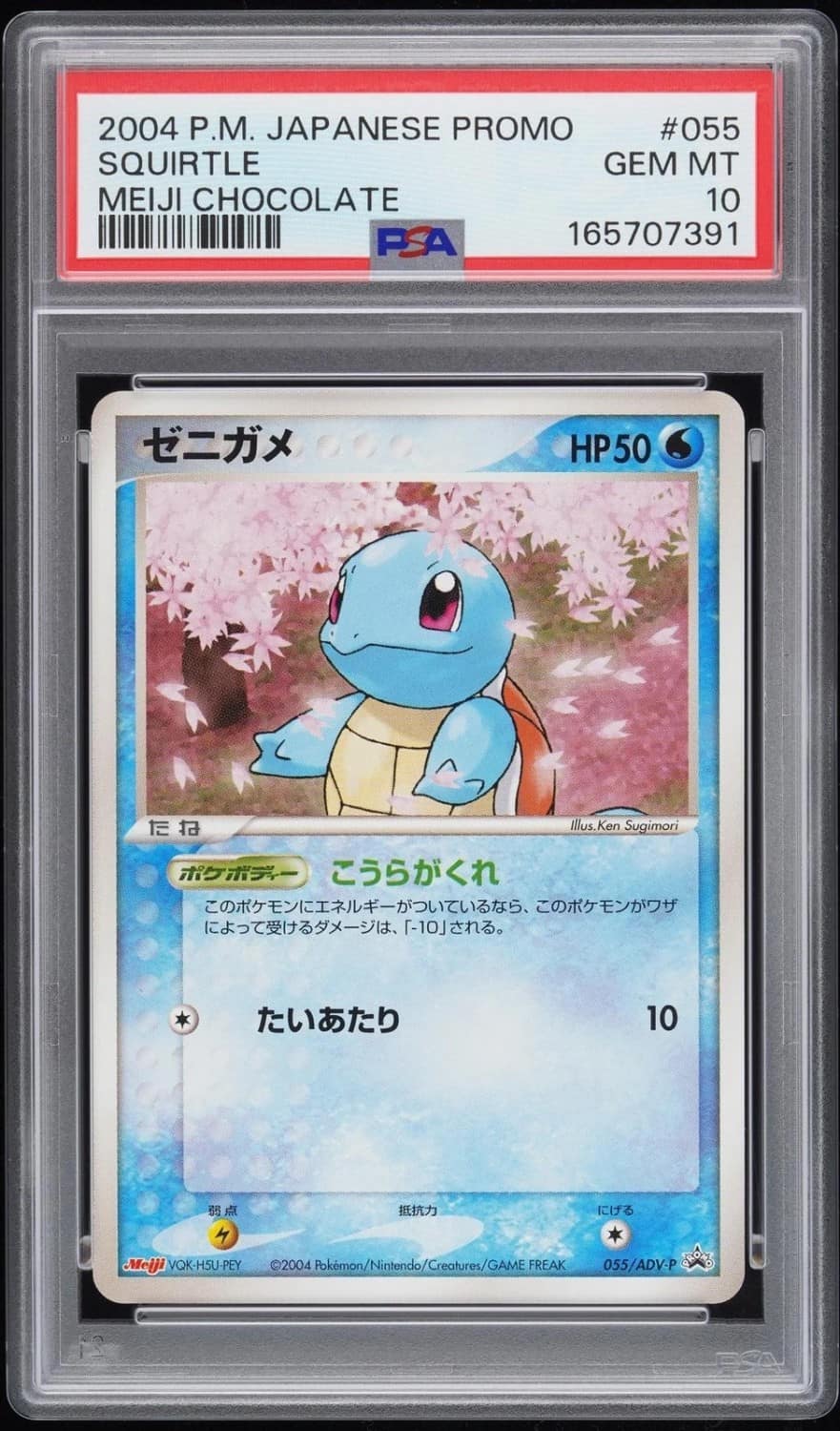 Squirtle