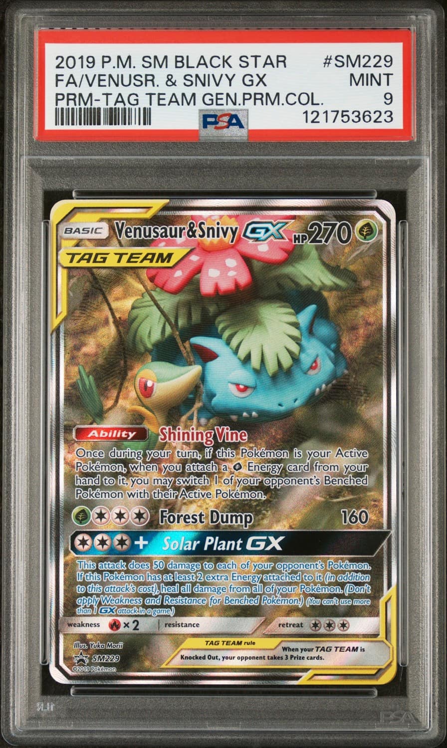 Venusaur & Snivy Gx