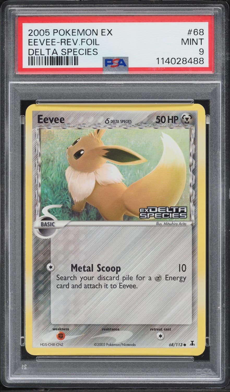 Eevee δ