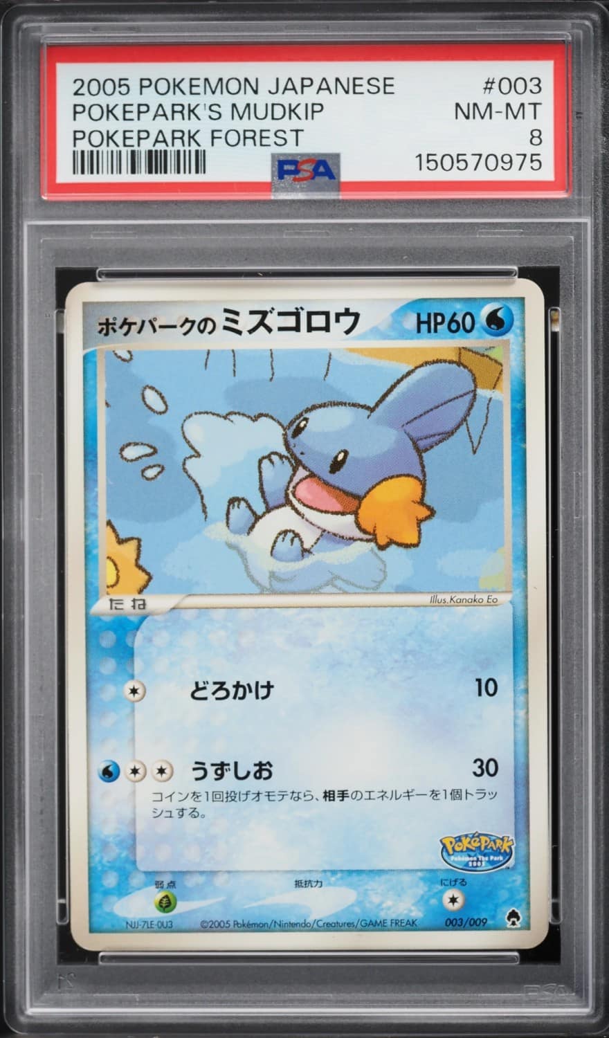 Pokepark'S Mudkip