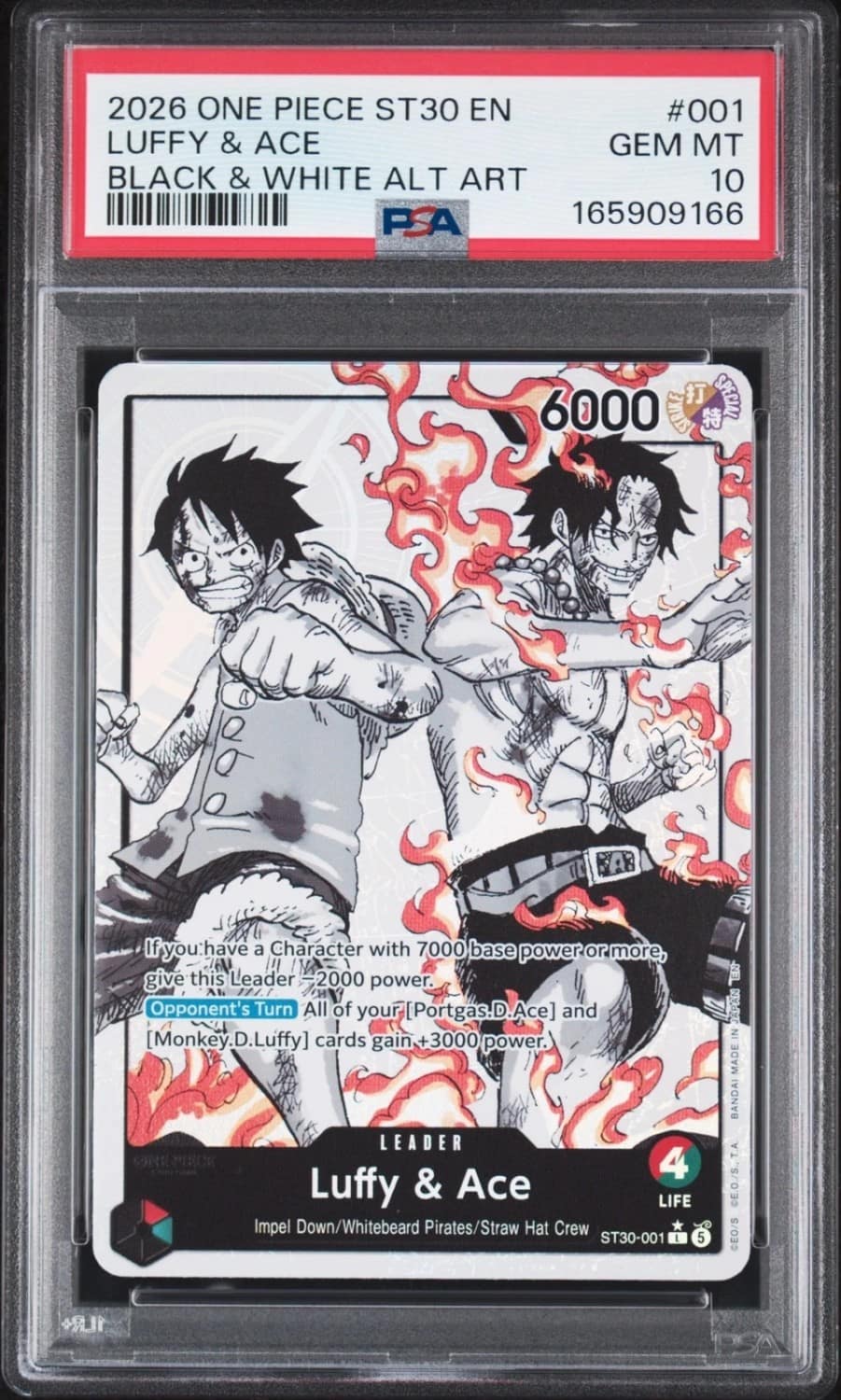 Luffy & Ace