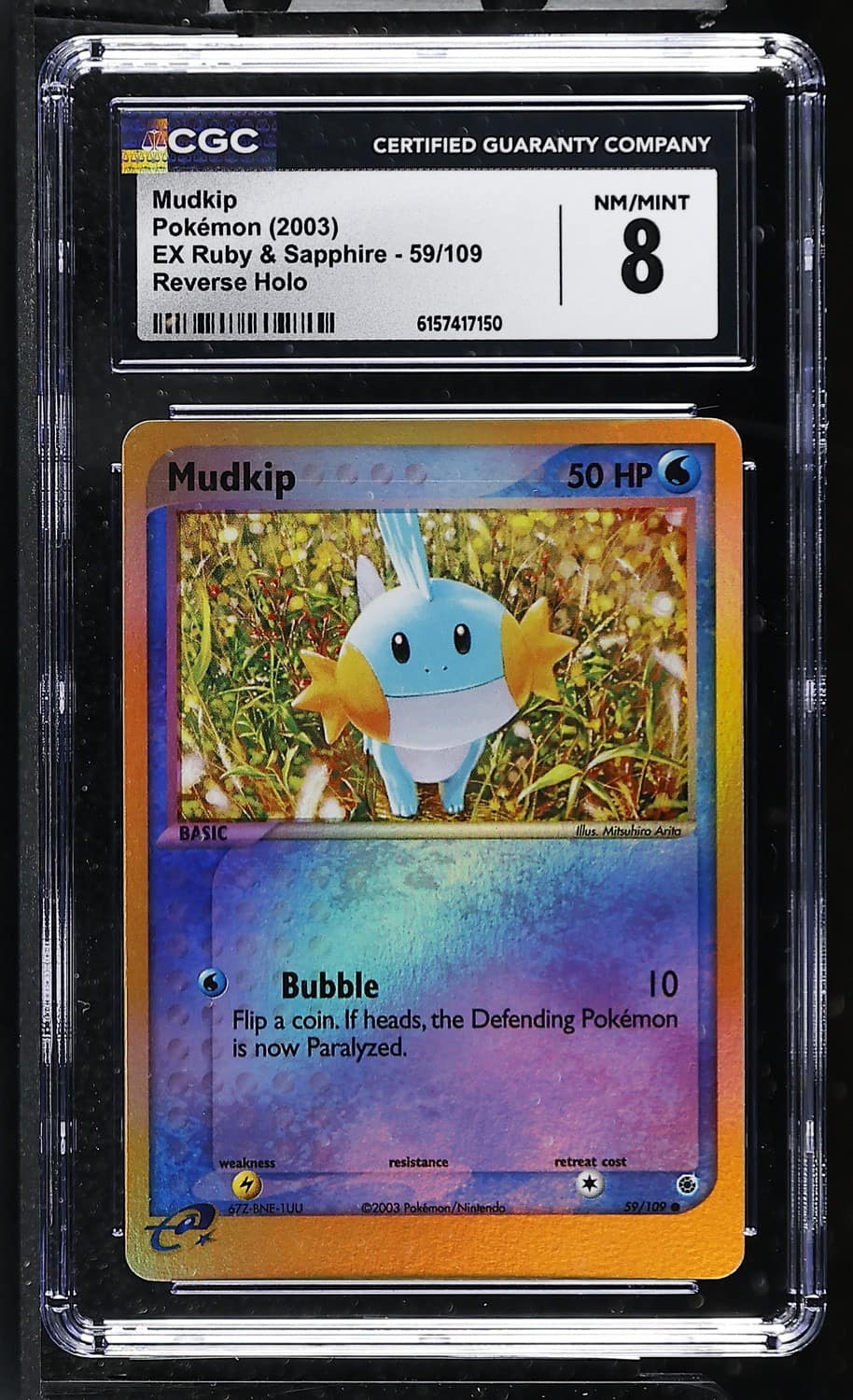 Mudkip