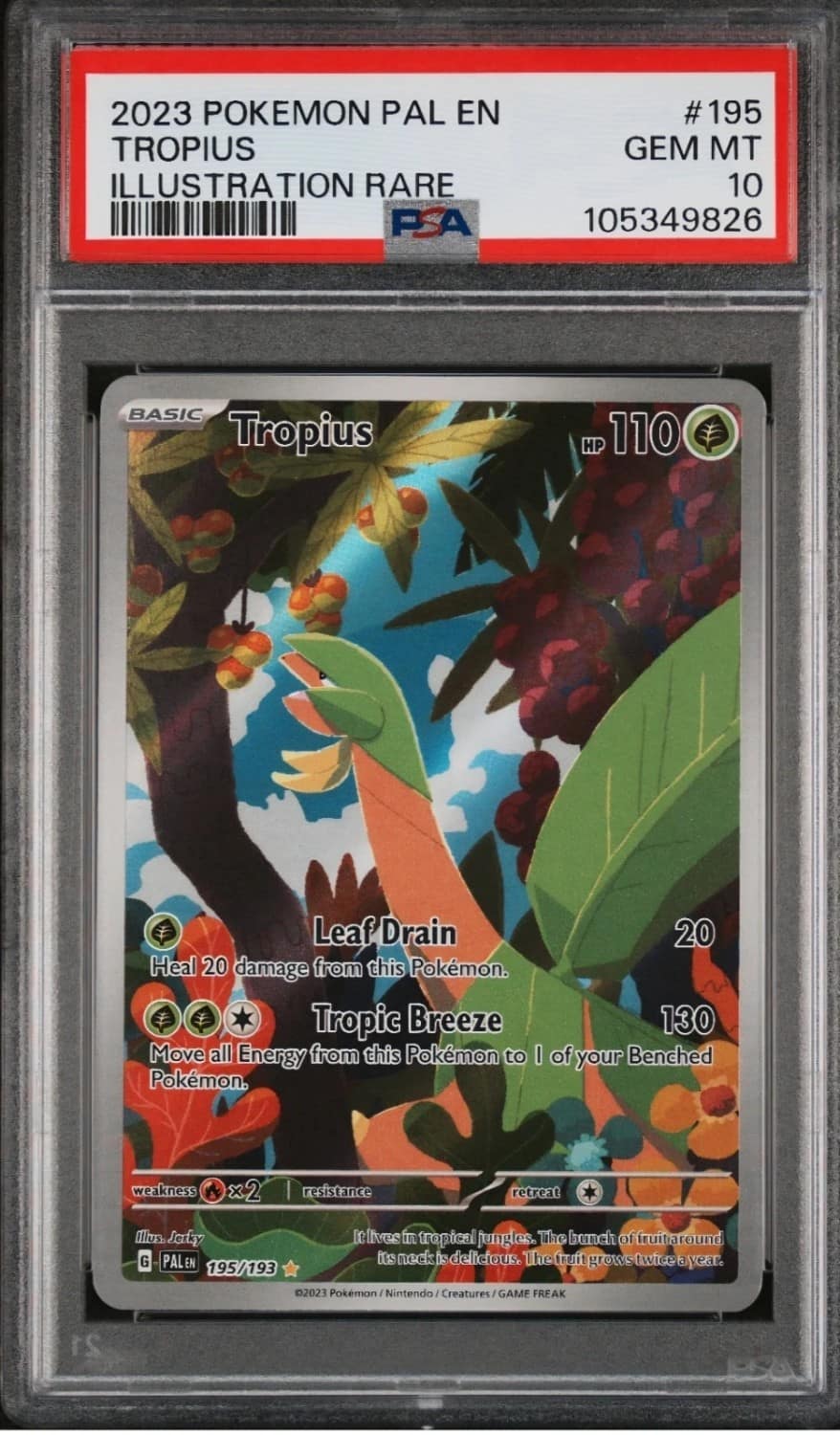 Tropius