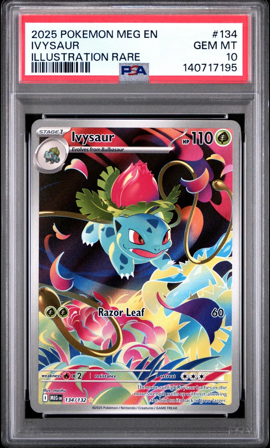 Ivysaur