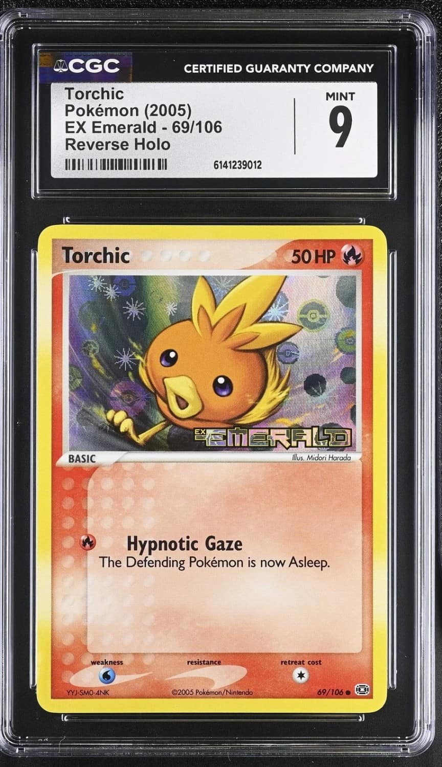 Torchic