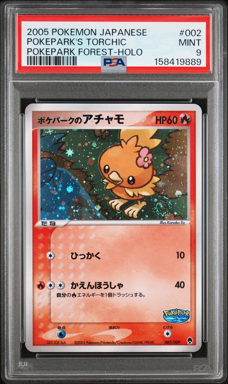 Pokepark'S Torchic