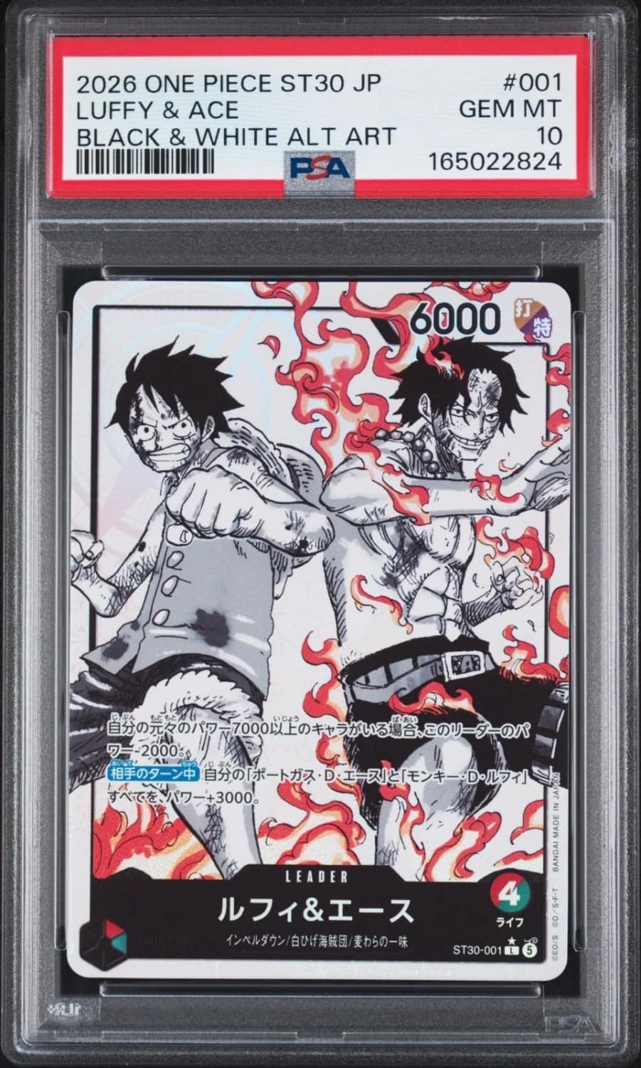 Luffy & Ace