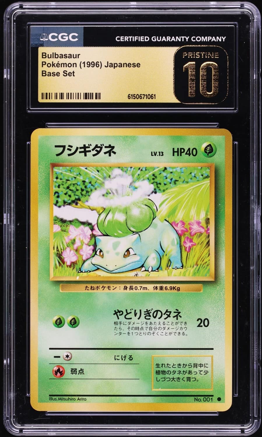 Bulbasaur
