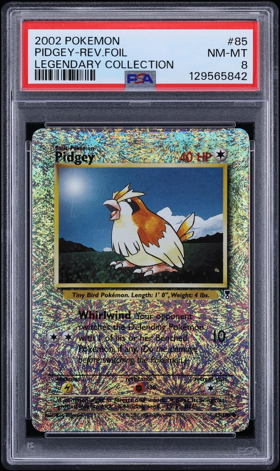 Pidgey