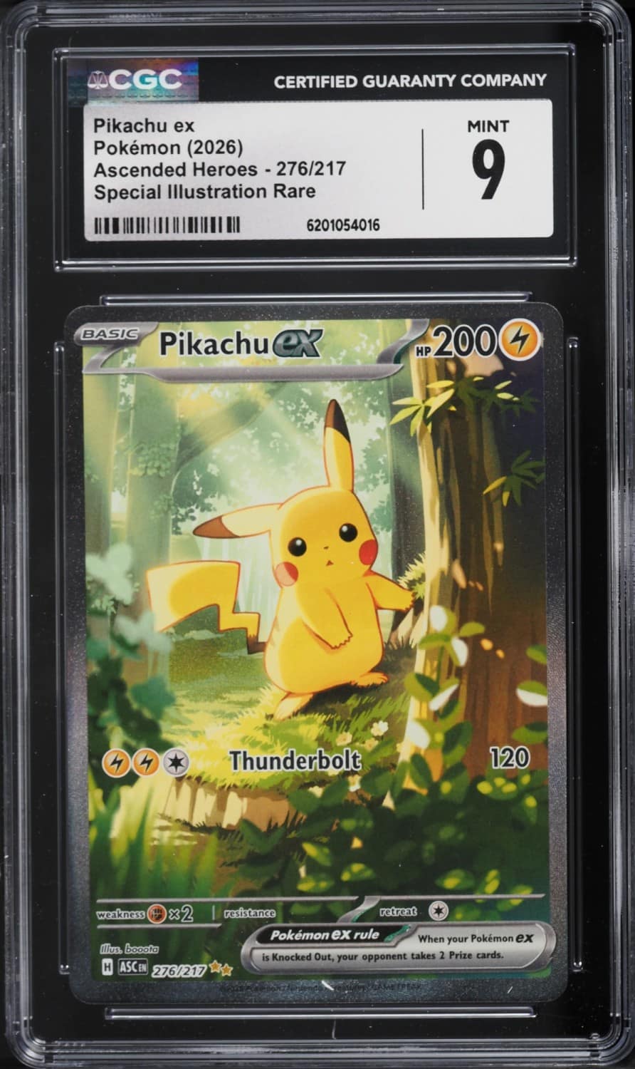 Pikachu Ex