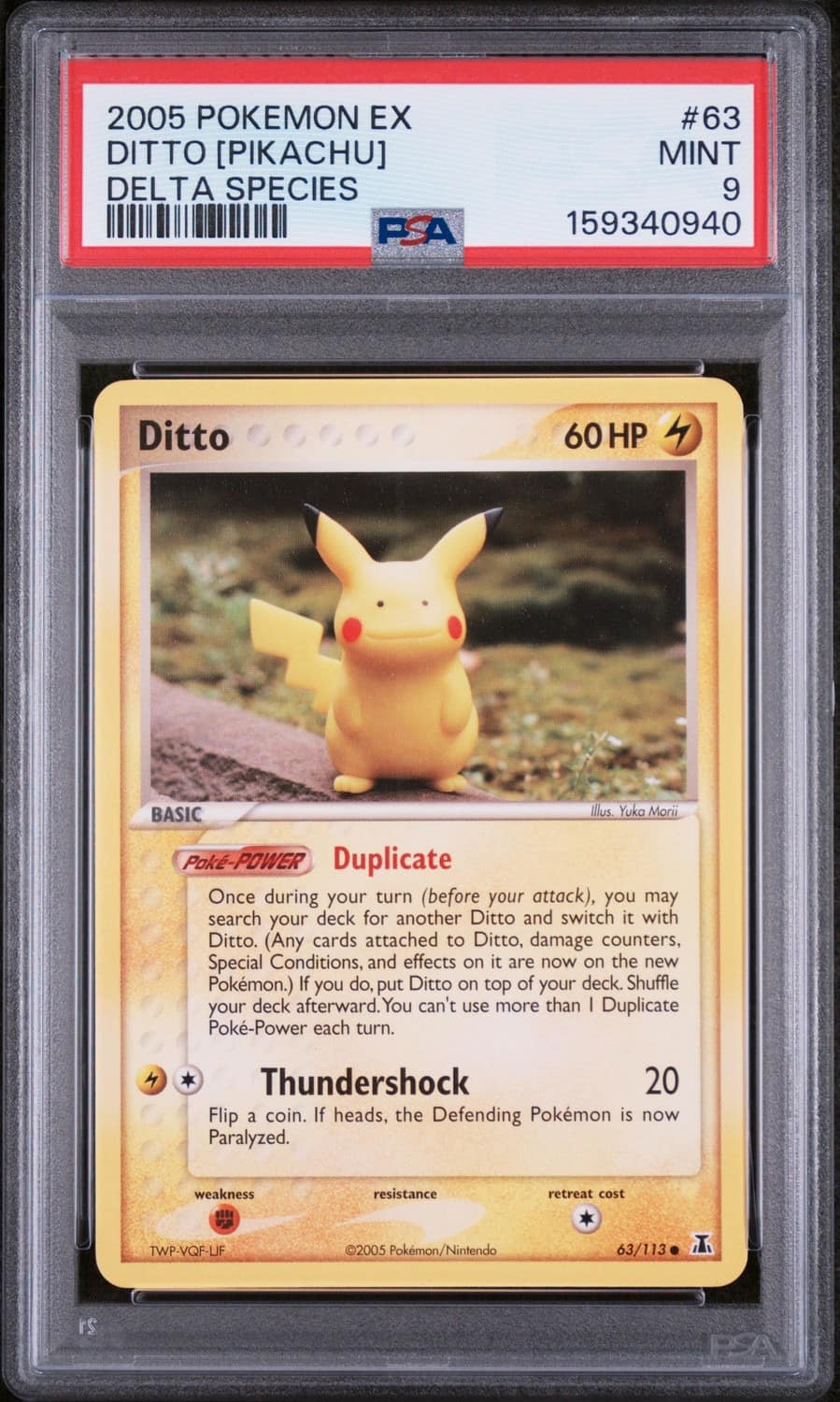 Ditto [pikachu]