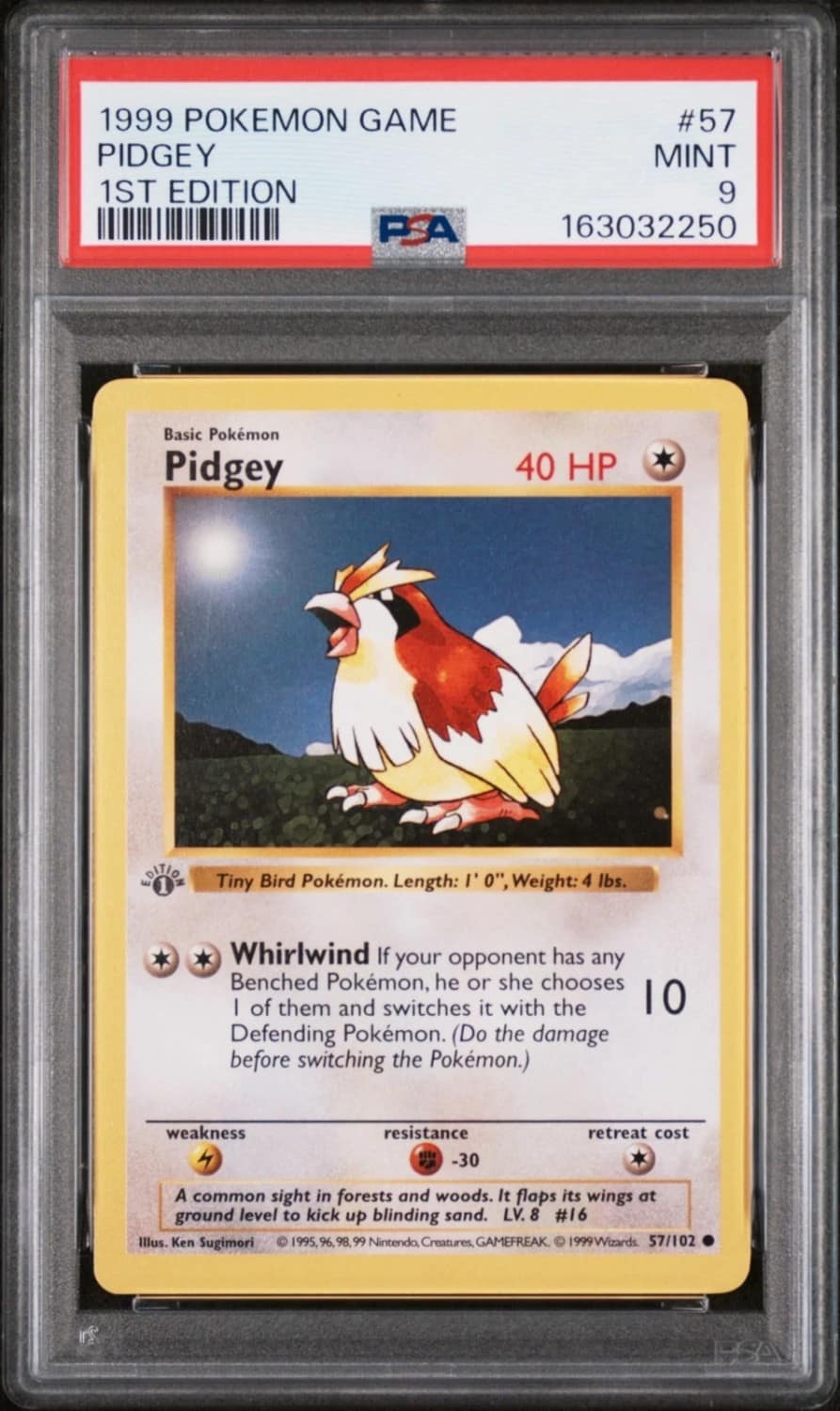 Pidgey