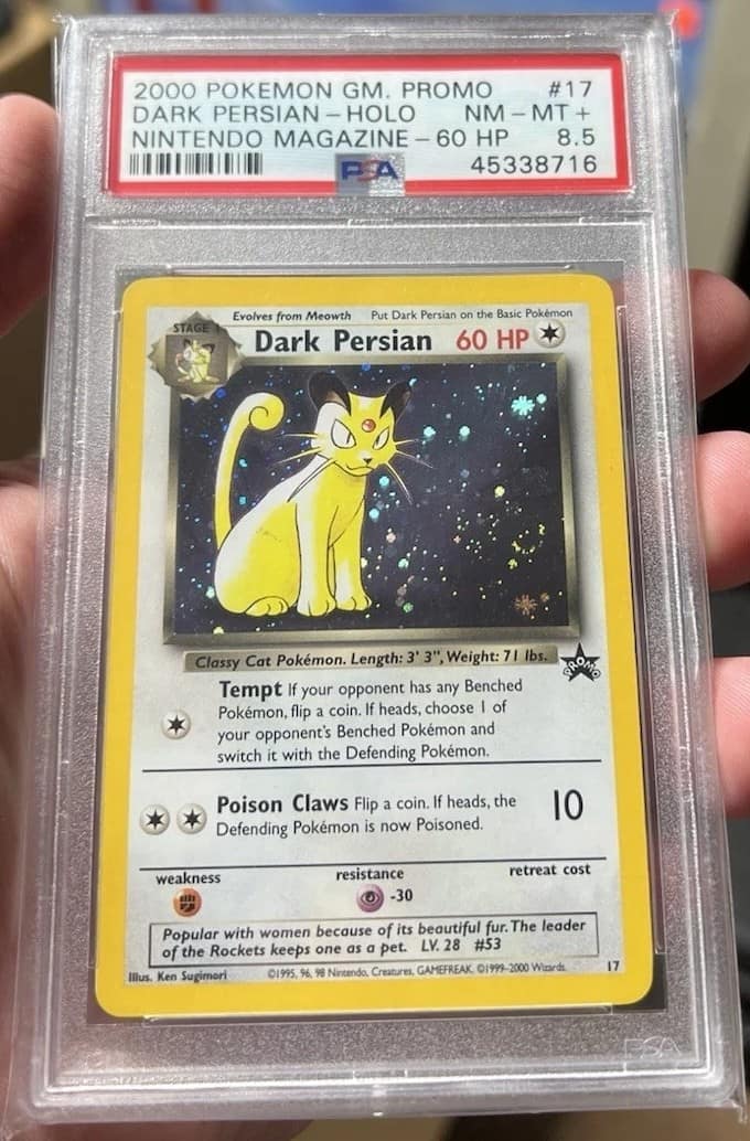 Dark Persian