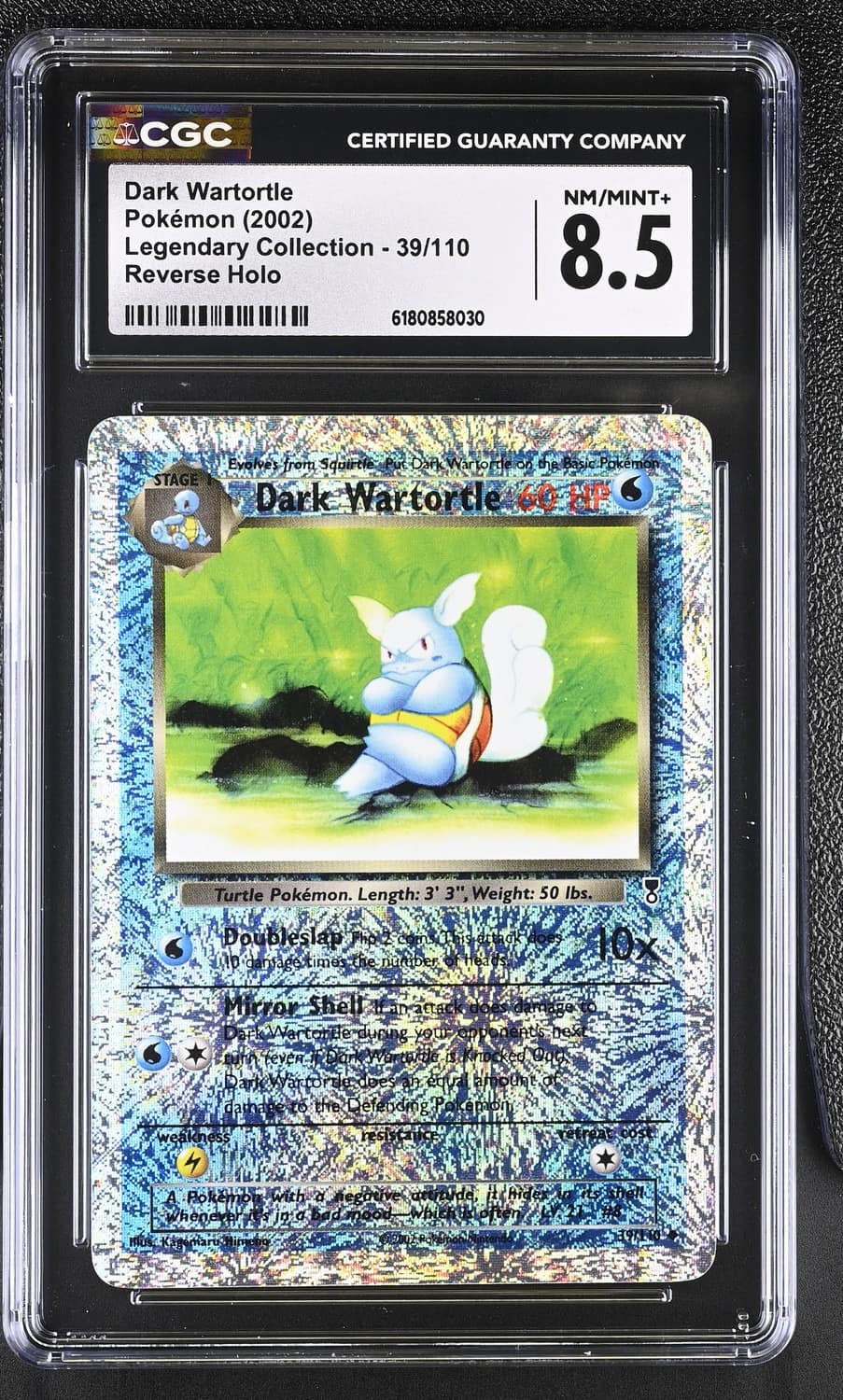 Dark Wartortle