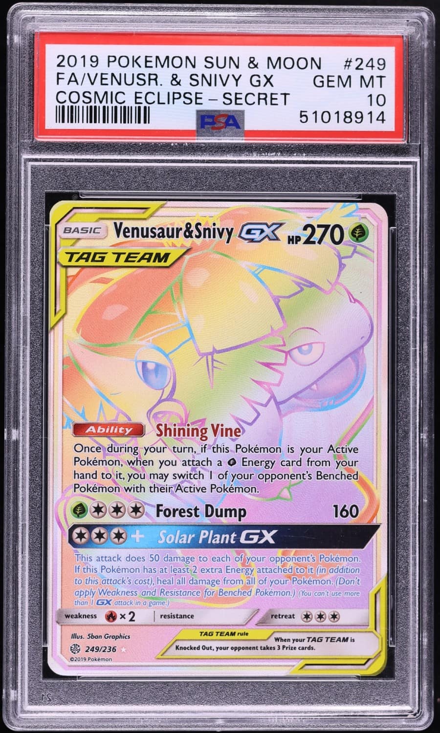 Venusaur & Snivy Gx