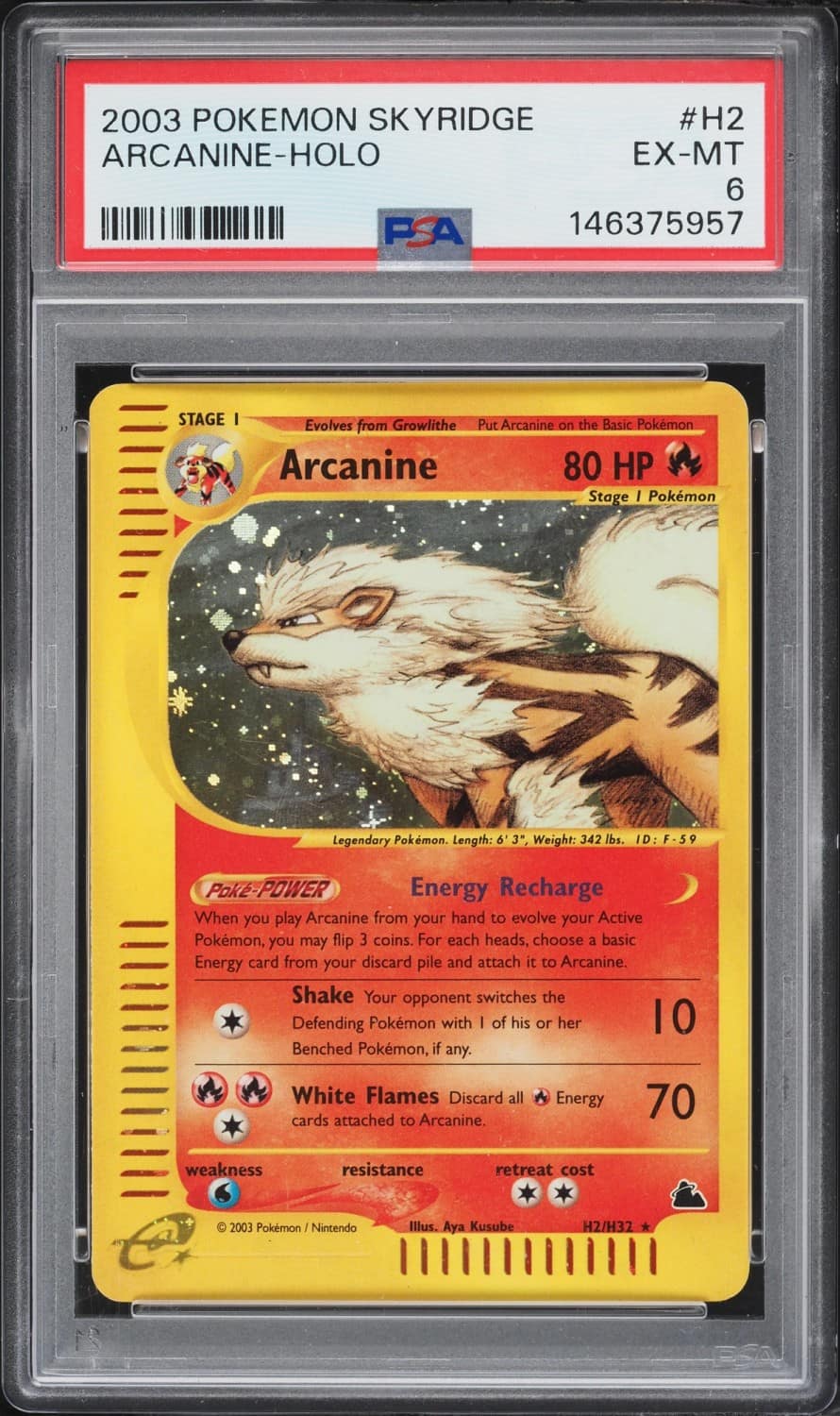 Arcanine
