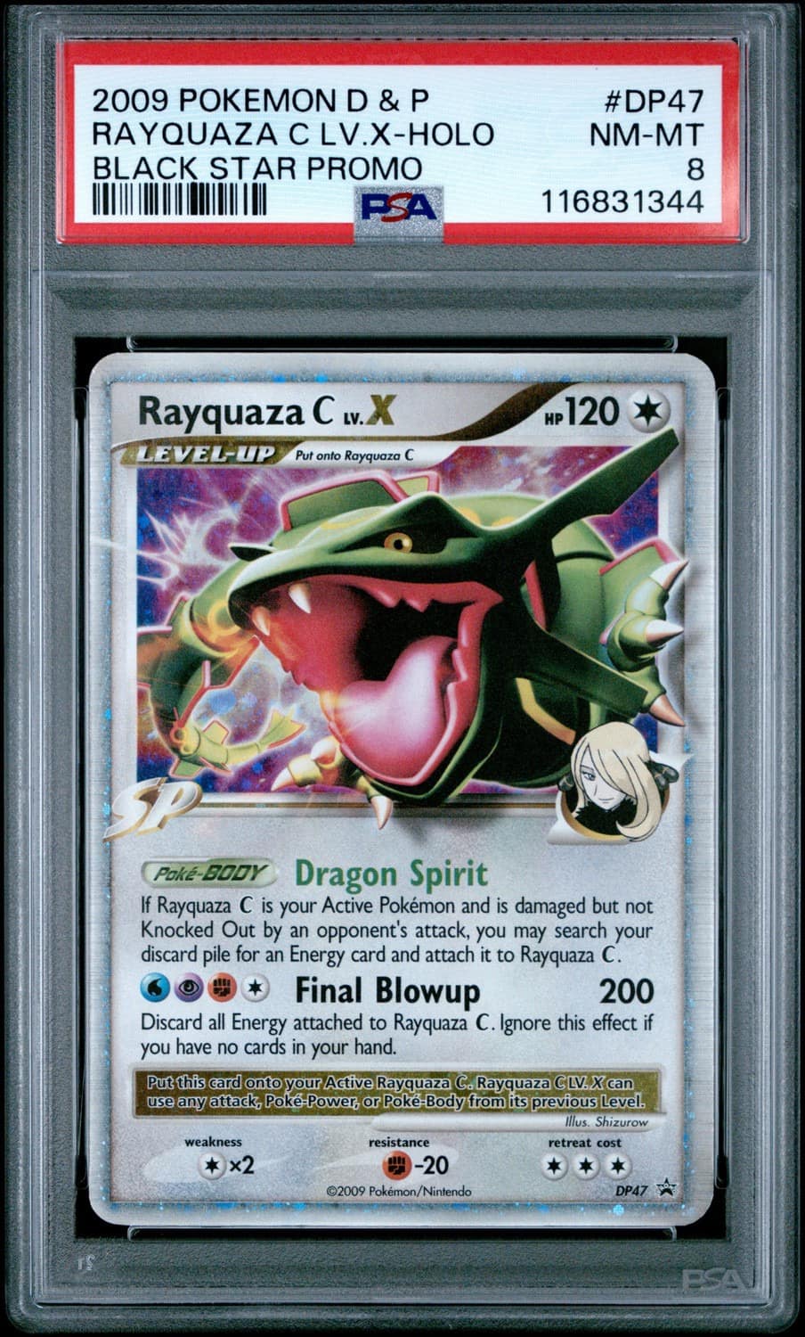 Rayquaza C Lv.x