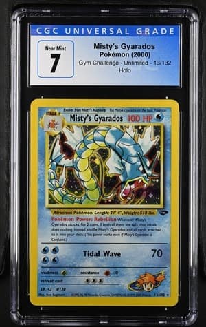 Misty'S Gyarados