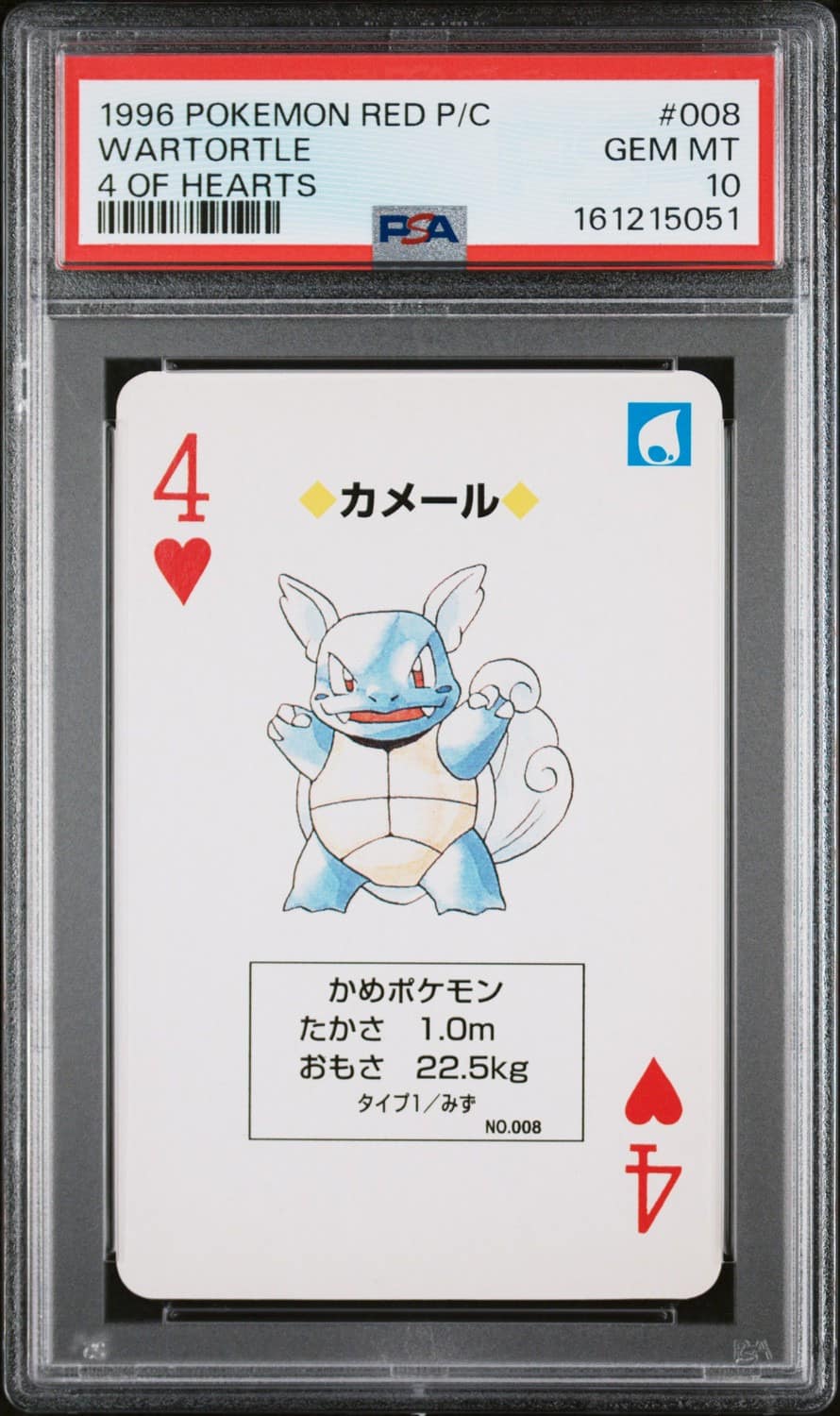 Wartortle