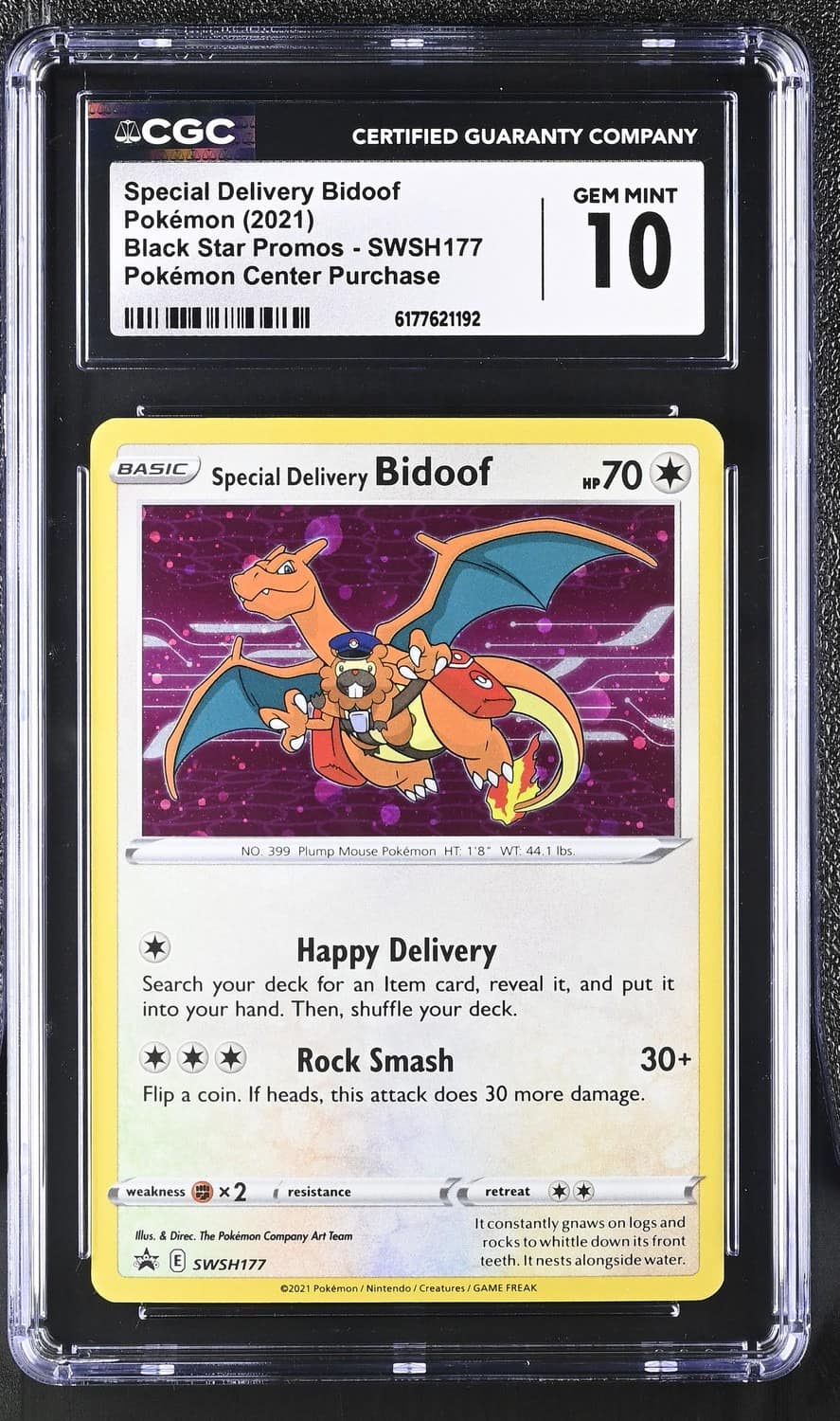 Special Delivery Bidoof