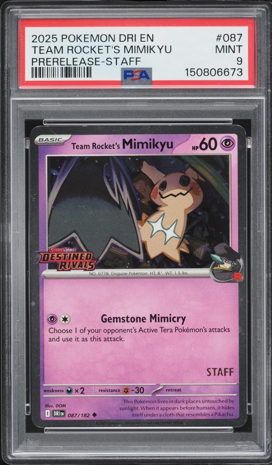 Team Rocket'S Mimikyu