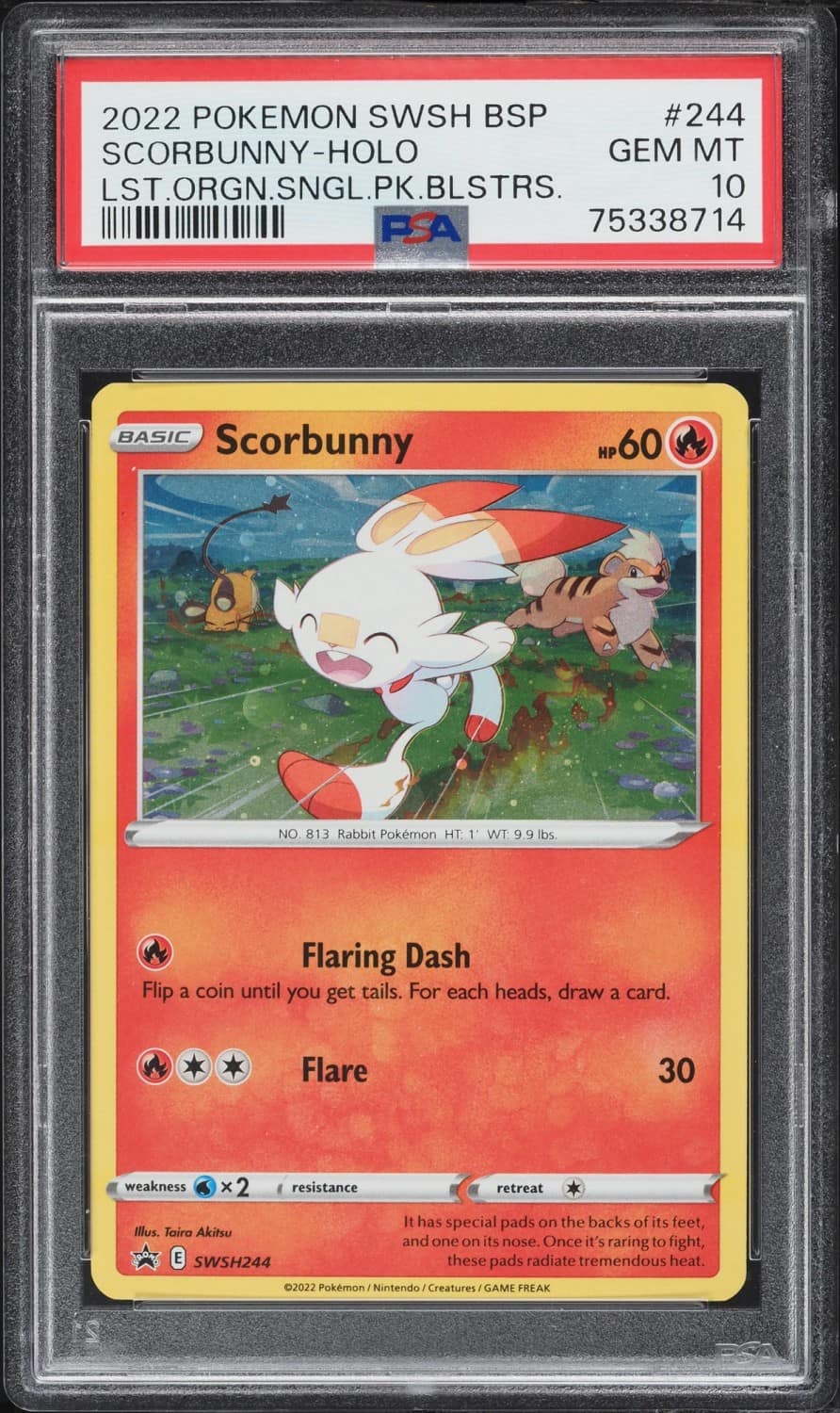 Scorbunny