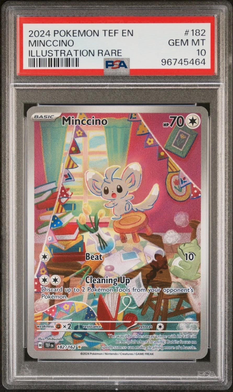 Minccino