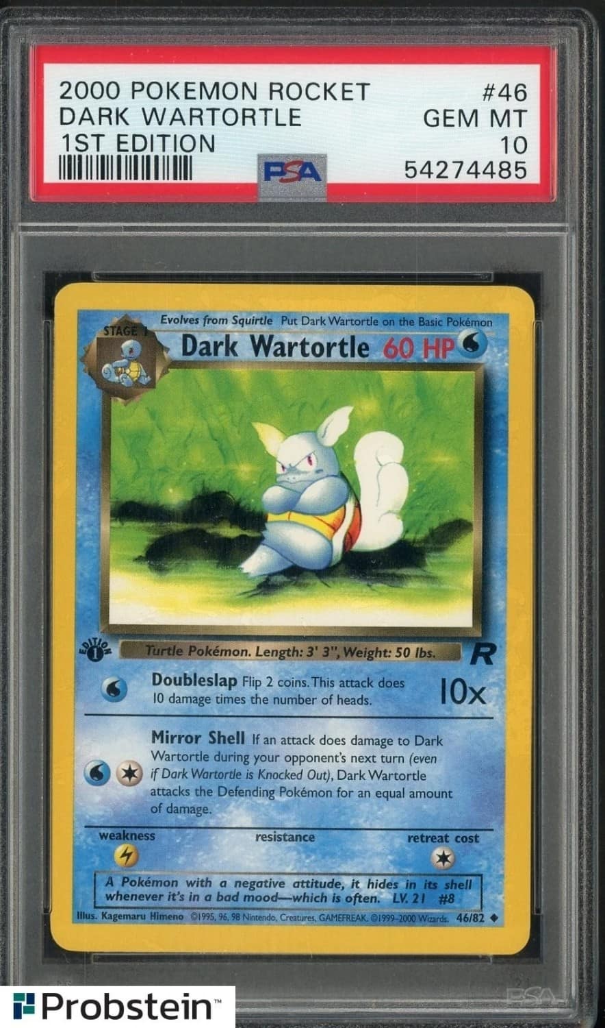 Dark Wartortle
