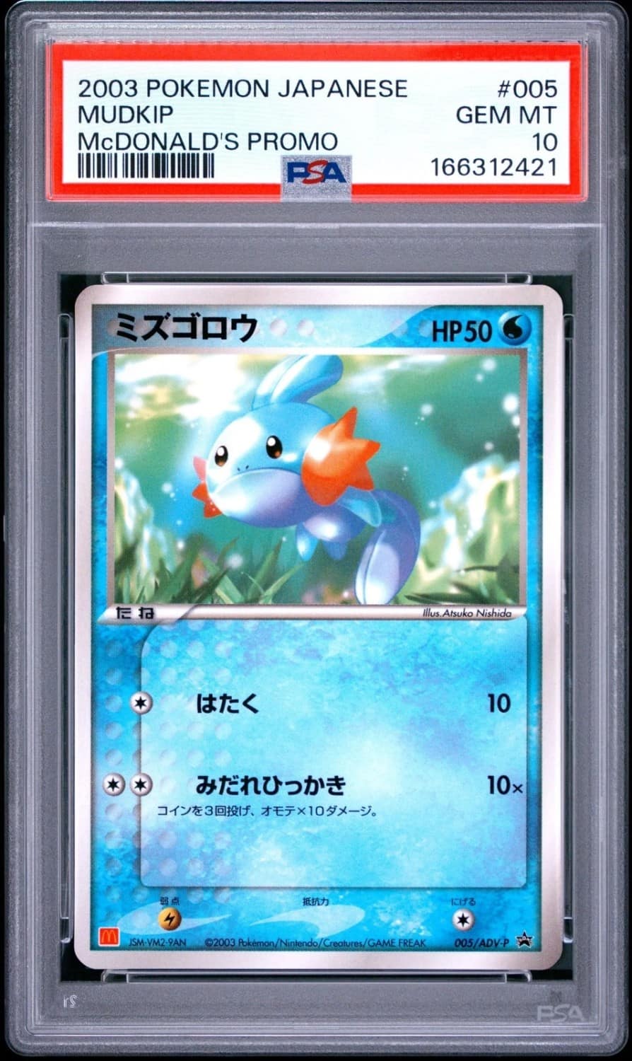 Mudkip