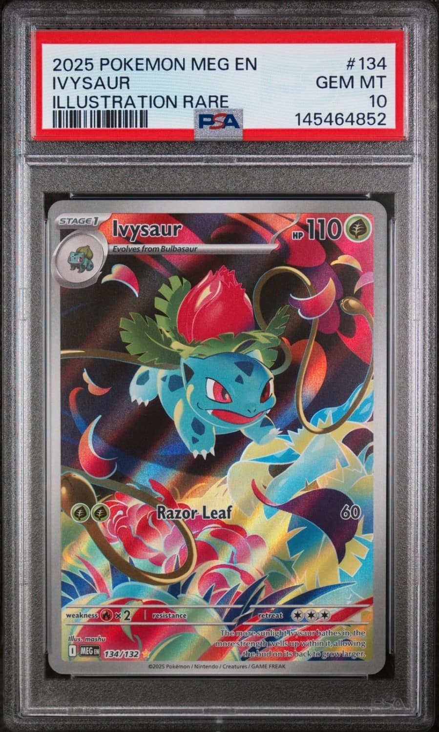 Ivysaur
