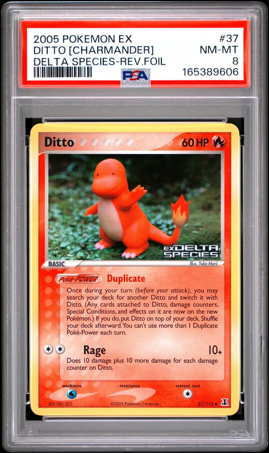 Ditto [charmander]