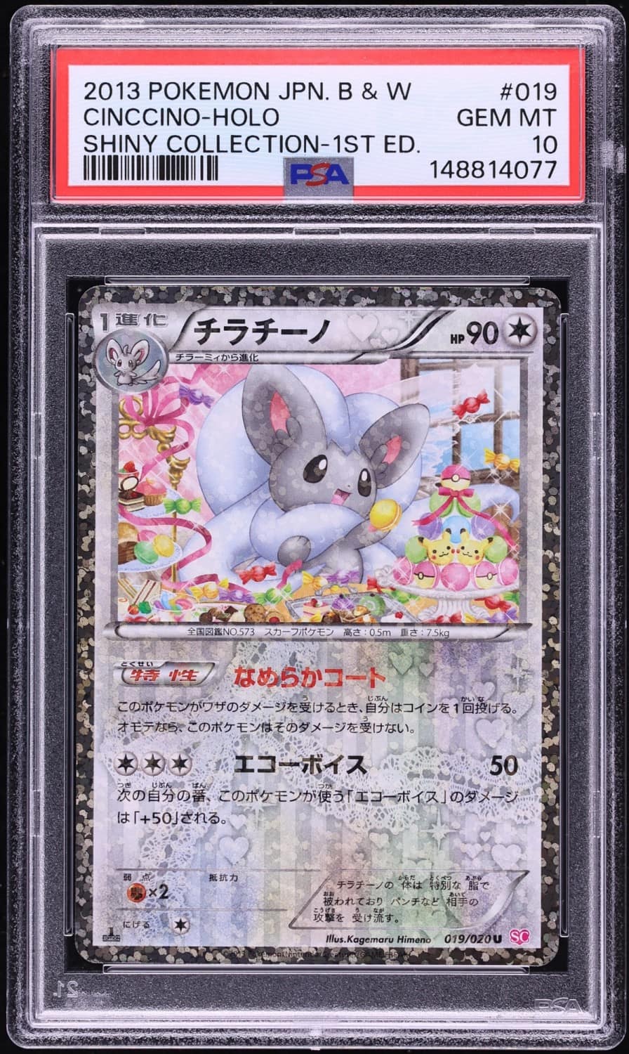 Cinccino