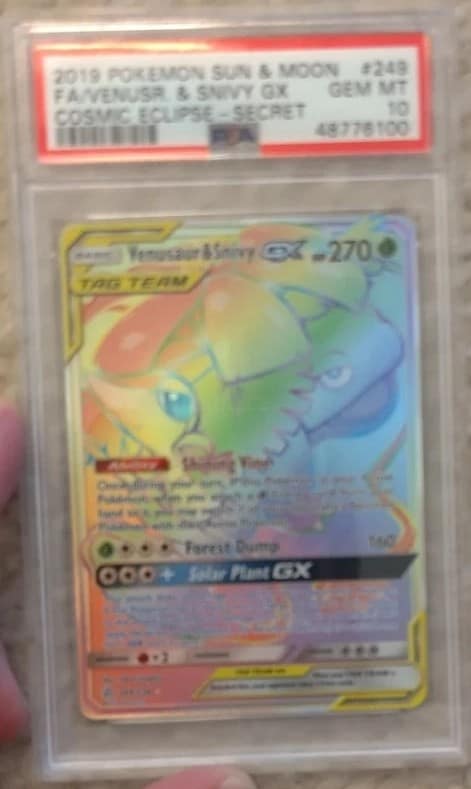 Venusaur & Snivy Gx