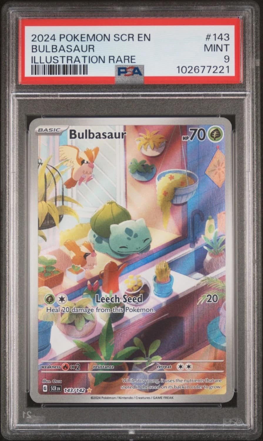 Bulbasaur
