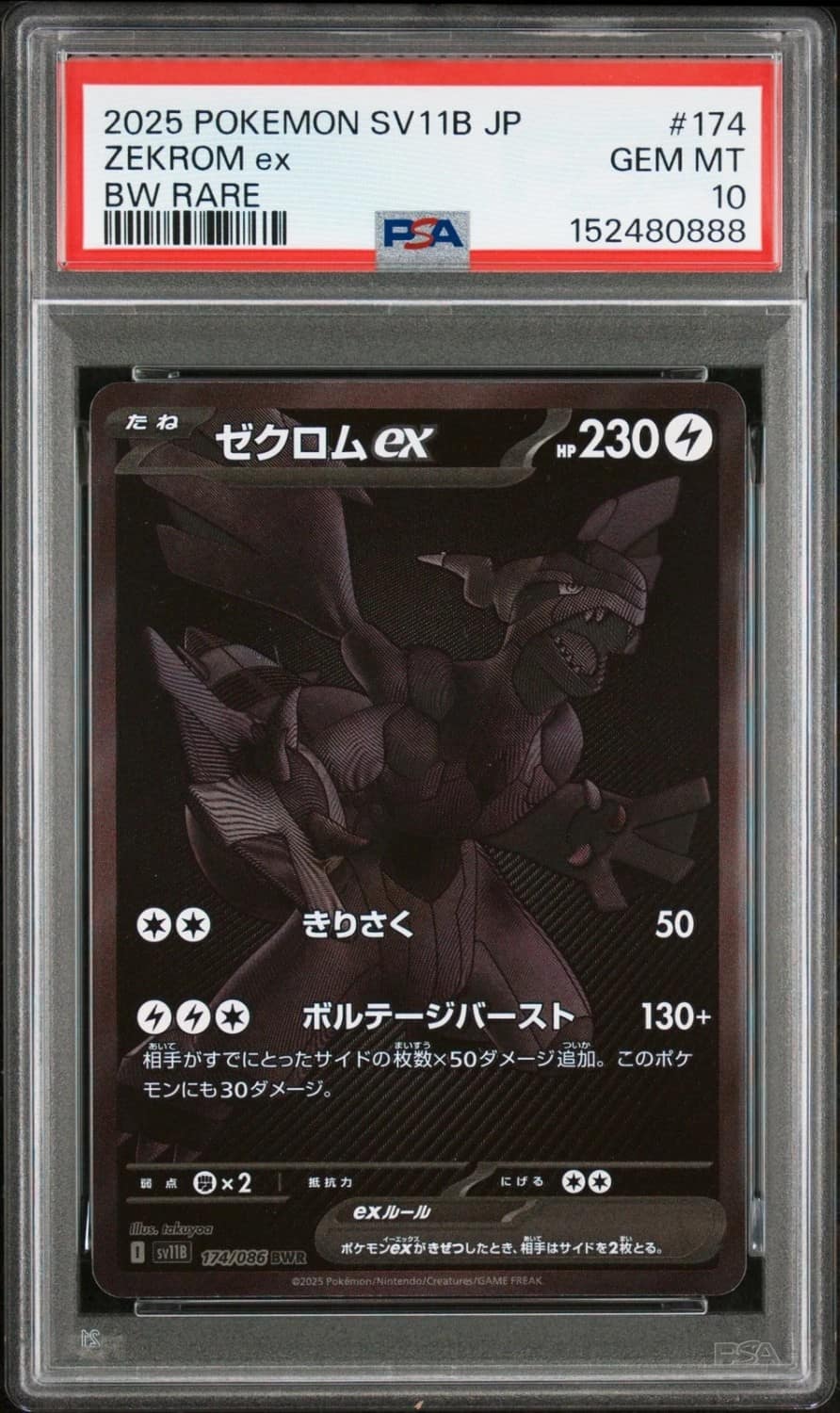 Zekrom Ex