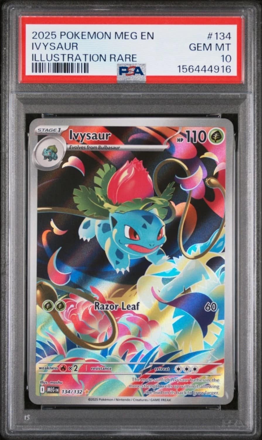 Ivysaur