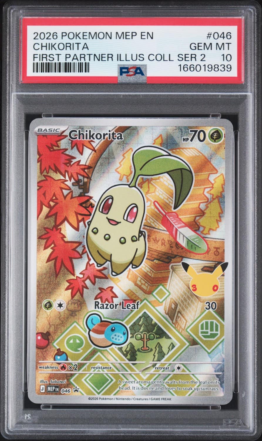 Chikorita