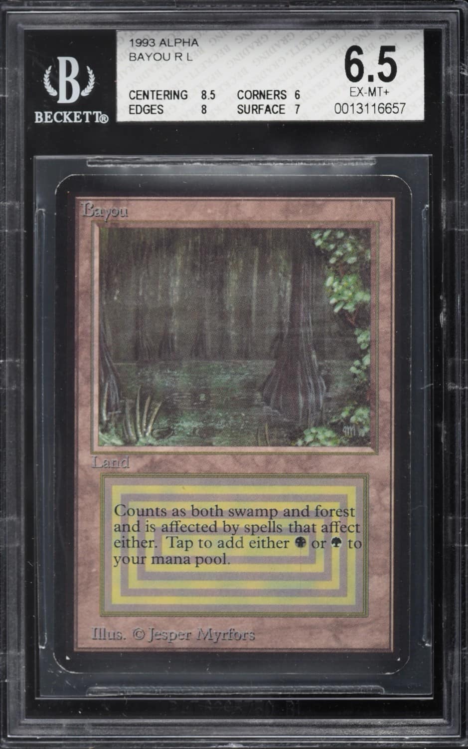 Bayou