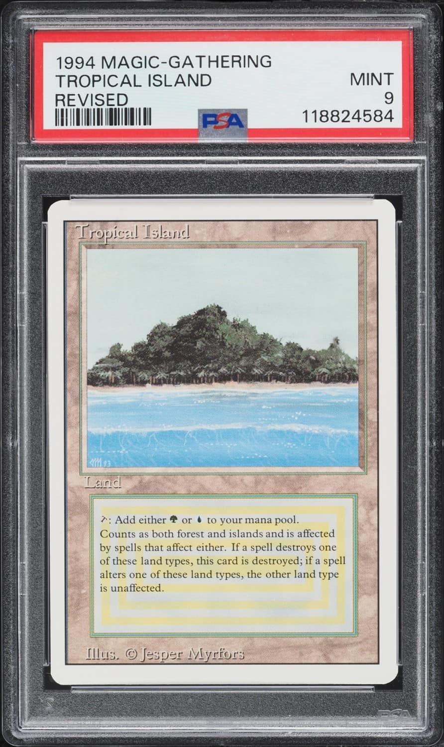 Tropical Island