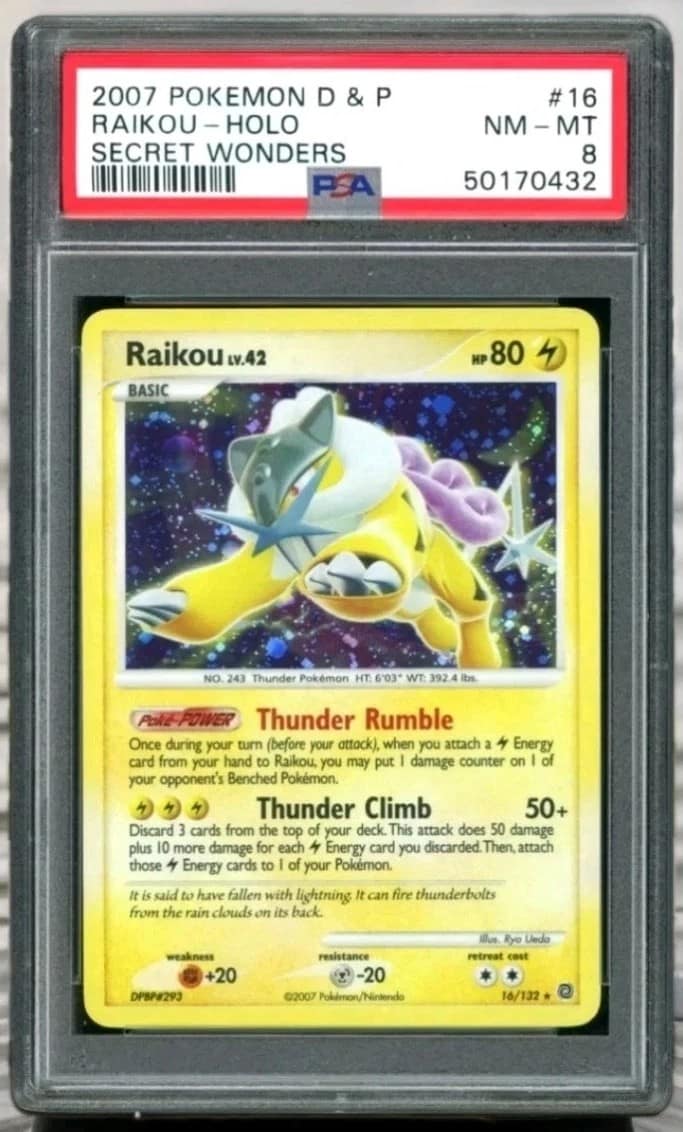 Raikou