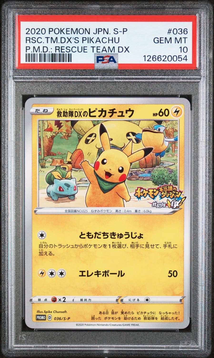 Rescue Team Dx'S Pikachu