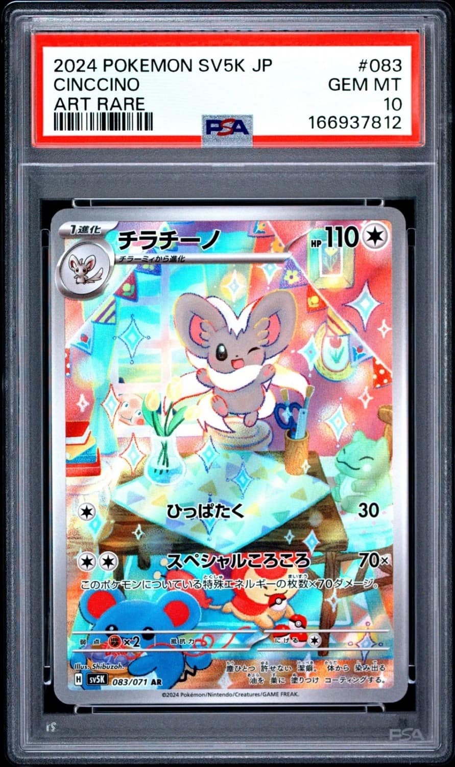 Cinccino