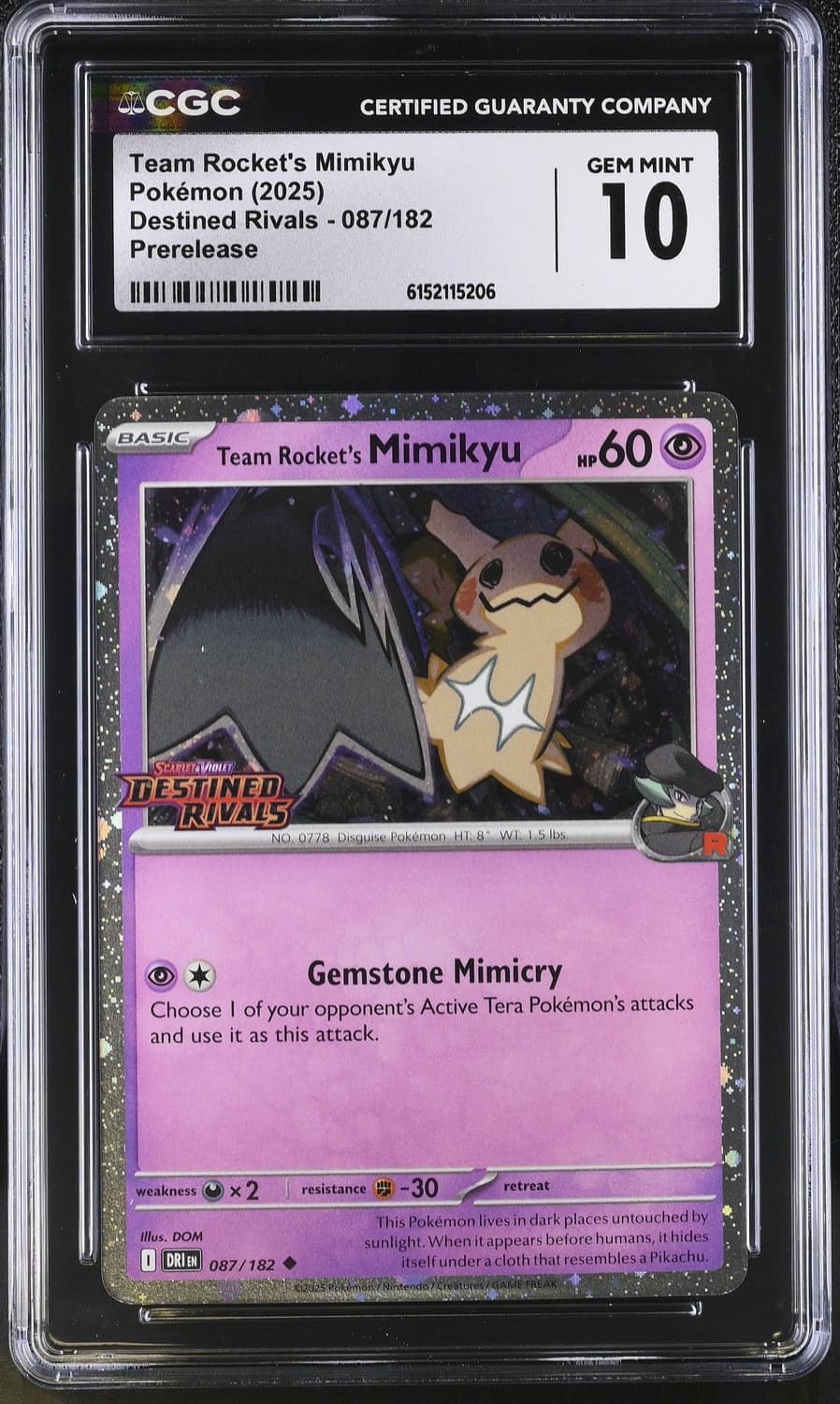 Team Rocket'S Mimikyu
