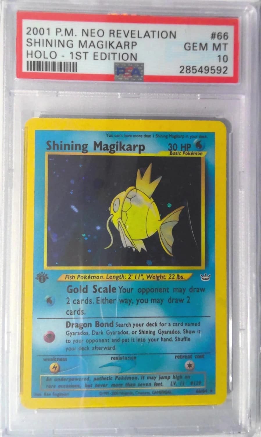 Shining Magikarp