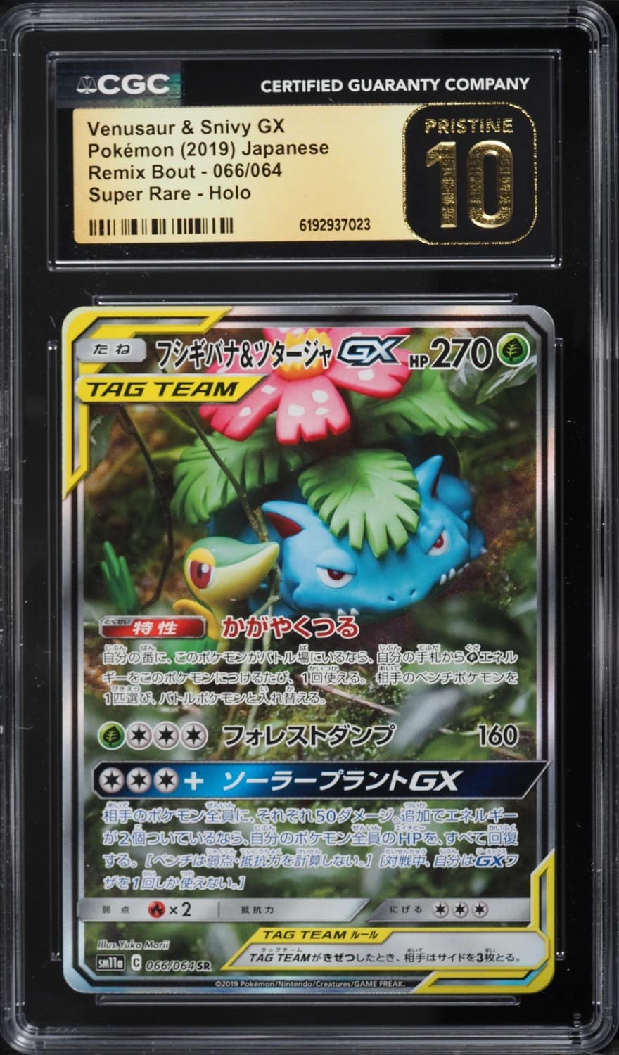 Venusaur & Snivy Gx